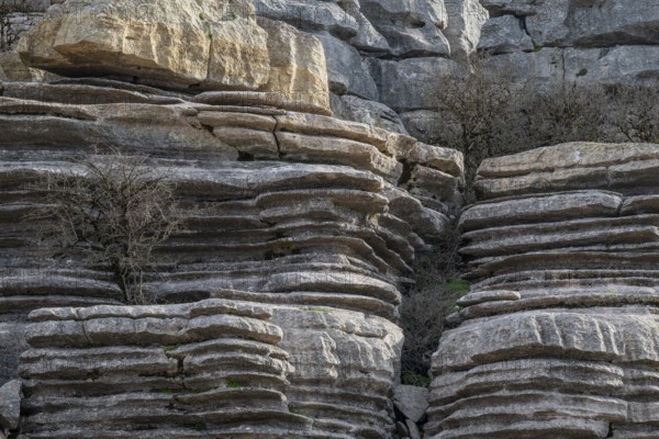 Bizarre limestone rock formations, El Torcal nature reserve, Torcal de Antequera, Malaga province, Andalusia, Spain, Europe