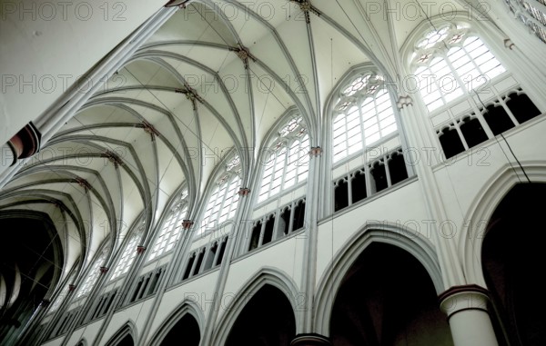 Ceiling vault, Altenberg Cathedral, Bergischer Dom, former monastery church of Altenberg Abbey, built by the Cistercians in 1133, Rheinisch-Bergischer Kreis, administrative district of Cologne, North Rhine-Westphalia, Germany, Europe