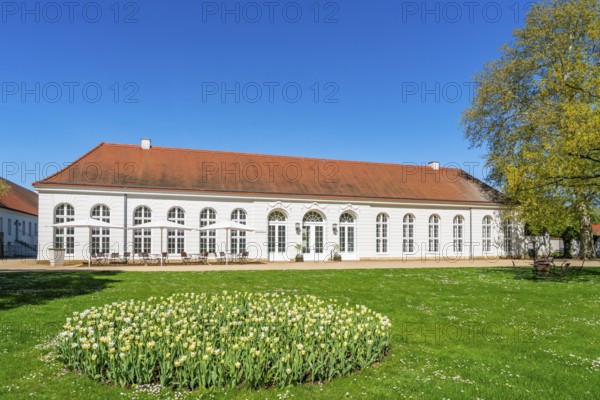 Bed with blooming tulips in front of the orangery of Neuhardenberg Castle, Neuhardenberg, Märkisch-Oderland, Brandenburg, Germany, Europe