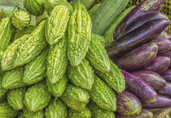 Fresh eggplant and momordica on the market