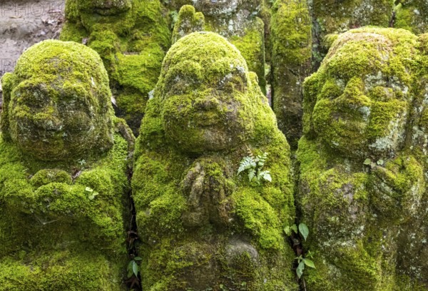 Moss-covered stone statues of rakans, the disciples of Buddha, Otagi Nenbutsu-ji temple, Kyoto, Japan, Asia