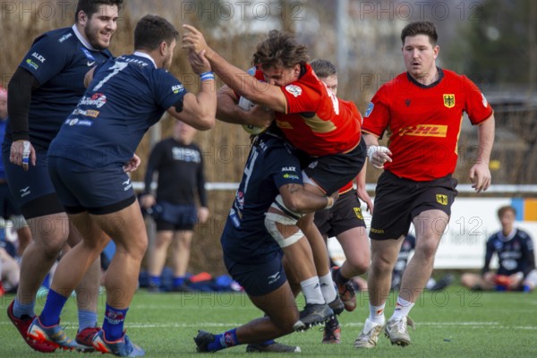 Rugby: Germany against MKS Pogon Awenta Siedlce, Poland in Heidelberg (test match of the German national rugby team in preparation for the upcoming World Cup qualifiers)