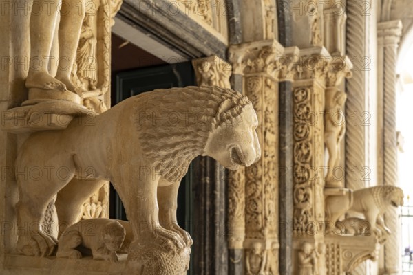 Lion at Radovan's portal of the Cathedral of St Lawrence in Trogir, Croatia, Europe