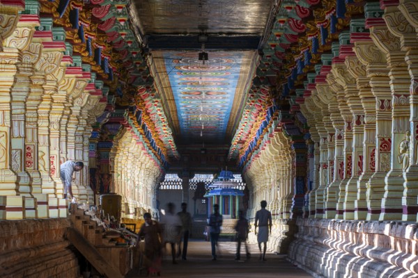 Colourfully painted pillars, temple hall, Ramanathaswami Temple, Rameswaram or Rameshwaram, Pamban Island, Tamil Nadu, India, Asia