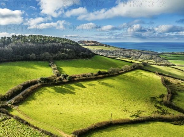 Farms over Morcombelake Village from a drone, Bridport, Dorset, England, United Kingdom, Europe