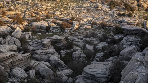 Bizarre limestone rock formations, El Torcal nature reserve, Torcal de Antequera, Malaga province, Andalusia, Spain, Europe