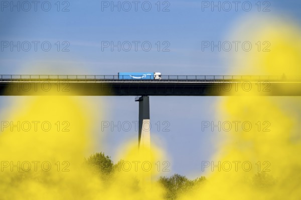 The Ruhr Valley Bridge, motorway bridge of the A52, crosses the Ruhr Valley between Essen and Mülheim an der Ruhr, truck on the bridge, rape field in the Ruhr Valley in bloom, North Rhine-Westphalia, Germany, Europe