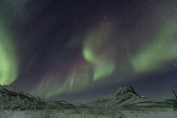 Green Northern Lights (Aurora borealis) over snowy mountains, Brooks Range, Alaska, USA, North America