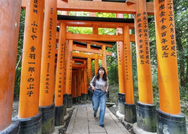 Torii path, Fushimi Inari-Taisha shrine, Kyoto, Japan, Asia