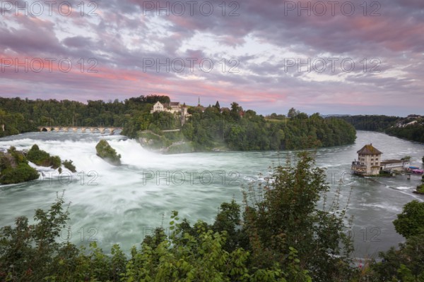The Rhine Falls at Schaffhausen in Switzerland at sunset with Laufen Castle on the Rhine Falls. An extreme amount of water in 2024