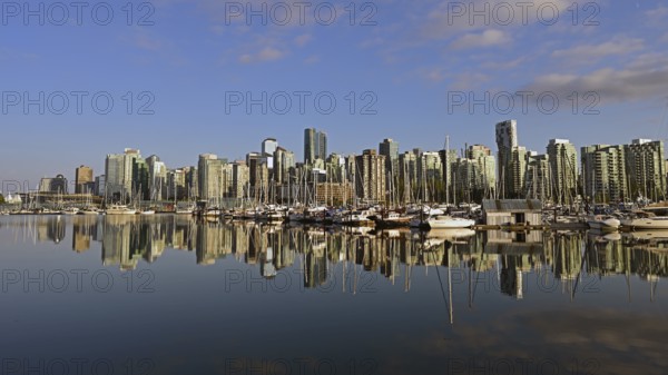 Vancouver skyline with Coal Harbour, photographed from Stanley Park, Vancouver, Canada, North America