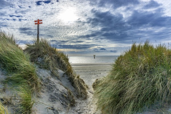 North Sea, Spiekeroog Island, autumn, dune landscape in the west of the island, dune crossing, East Frisian Islands, Lower Saxony, Germany, Europe