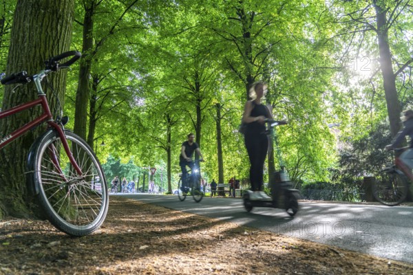 Promenade cycle path, tree-lined, car-free, approximately 4.5 km long ring road around the city centre of Münster, North Rhine-Westphalia, Germany, Europe