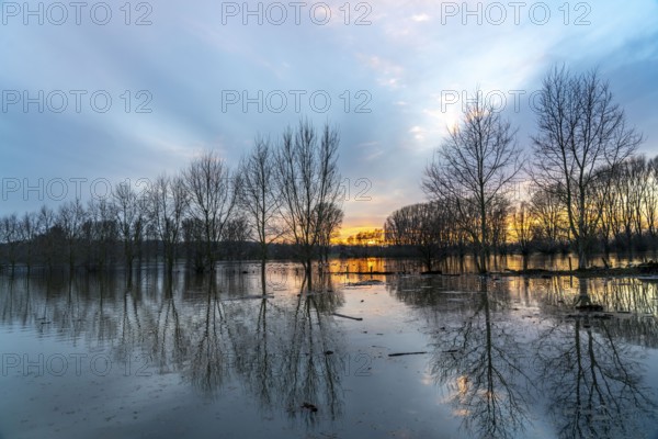 Bislicher Insel nature reserve, floodplain landscape on the Rhine, near Xanten, floods, flooded fields, meadows, North Rhine-Westphalia, Germany, Europe