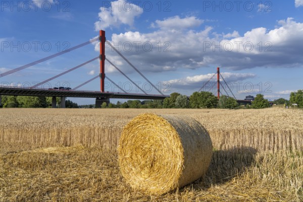 Grain field, harvested, straw bales, near Duisburg-Baerl, behind the motorway bridge of the A42 over the Rhine, Thyssenkrupp Steel steelworks in Duisburg-Beeckerwerht, North Rhine-Westphalia, Germany, Europe