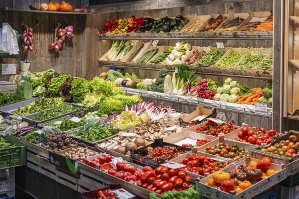 Market stall with different types of vegetables in the Markthalle Stuttgart, Baden-Württemberg, Germany, Europe