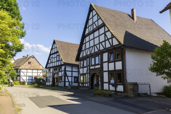 The Lippoldsberg Monastery is a former Benedictine convent that was the origin of the town of Lippoldsberg on the Weser in northern Hesse, Lippoldsberg Monastery, Lippoldsberg, Hesse, Germany, Europe