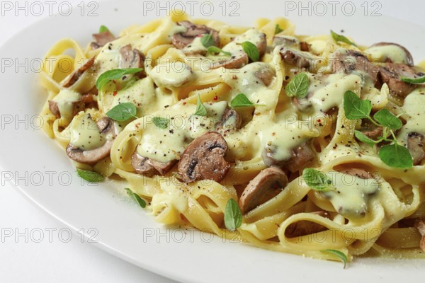 Fettuccine with champignons, basil, in cream sauce, homemade, no people