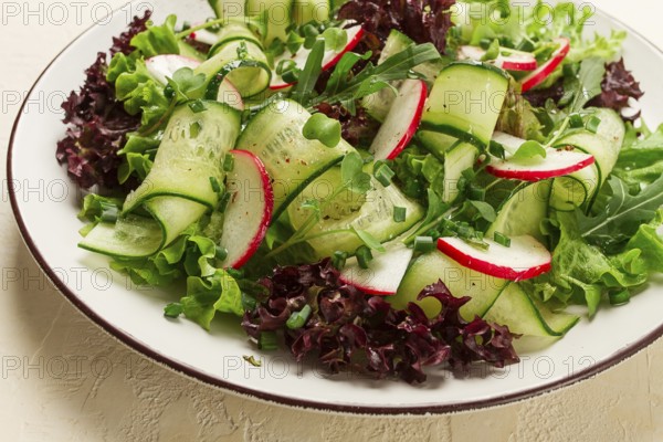 Vegetable salad, radishes and cucumbers, radish micro-greens, lettuce leaves, green onions, homemade, no people