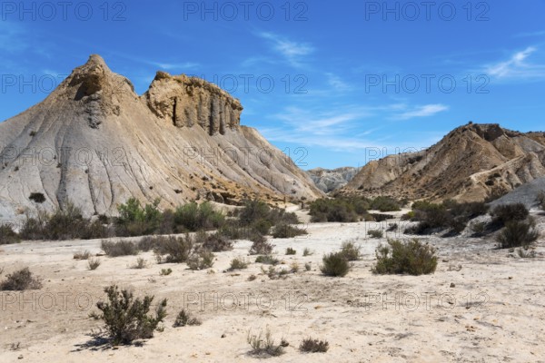 Dry desert landscape with sandy mountains and shrubs under a bright blue sky, Oasis de Lawrence de Arabia, Oasis, Tabernas Desert, Desierto de Tabernas, Tabernas, Almeria, Andalusia, Spain, Europe
