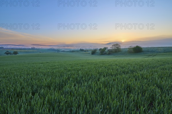A picturesque sunrise over a wide green field and a gentle hilly landscape, Mönchberg, Mltenberg, Spessart, Bavaria, Germany, Europe