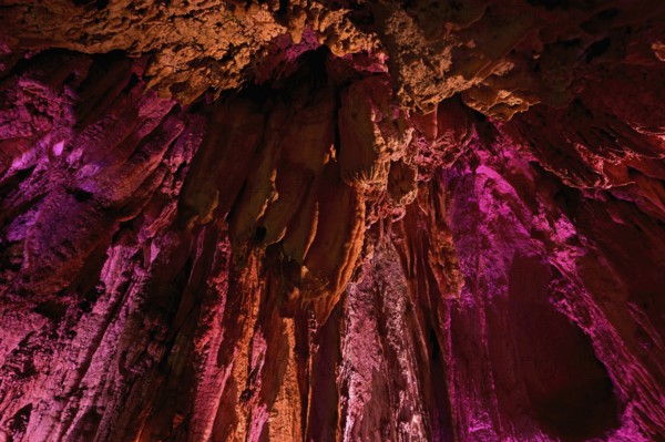 Stalactites illuminated by coloured light, stalactite cave, Höllgrotten, Baar, Canton Zug, Switzerland, Europe