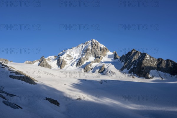 High alpine mountain landscape, summit of the Aiguille de Chardonnet and Glacier du Tour, glaciers and mountain peaks, Chamonix, Haute-Savoie, France, Europe