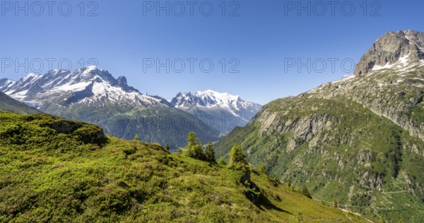 Mountain panorama with glaciated mountain peaks, Aiguille Verte with Aiguille du Midi and Mont Blanc, hike to Aiguillette des Posettes, Chamonix, Haute-Savoie, France, Europe