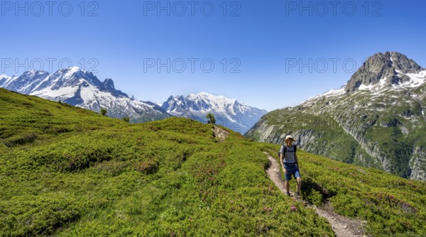 Mountaineer on hiking trail, mountain panorama with glaciated mountain peaks, Aiguille Verte with Aiguille du Midi and Mont Blanc, hike to Aiguillette des Posettes, Chamonix, Haute-Savoie, France, Europe