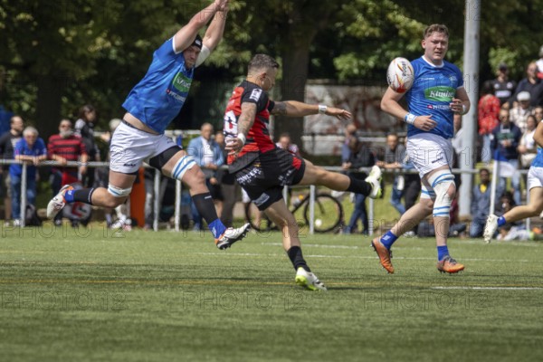 Heidelberg, 15.06.2024, Rugby 1st Bundesliga, 2023/24 season, final for the German championship: SC Frankfurt 1880 against SC Neuenheim