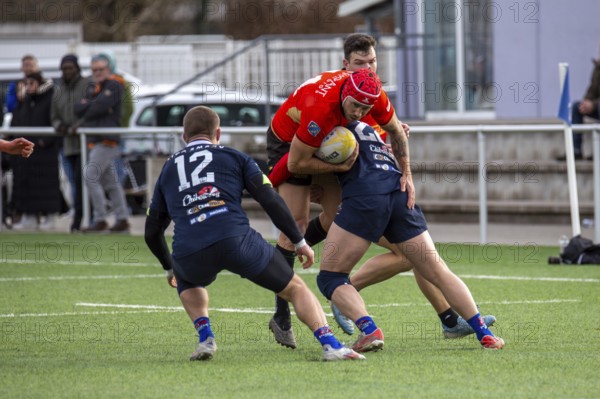 Rugby: Germany against MKS Pogon Awenta Siedlce, Poland in Heidelberg (test match of the German national rugby team in preparation for the upcoming World Cup qualifiers)