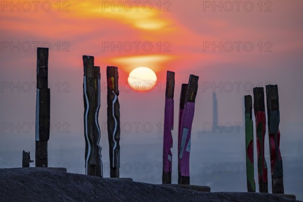 The Haniel spoil tip, 185 metre high spoil tip, at the Prosper Haniel mine, which was closed in 2019, artwork Totems by the sculptor Augustin Ibarrola, sunset, Bottrop, Germany, Europe