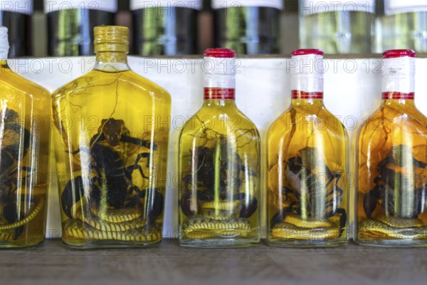 Choum, rice liquor, rice wine with pickled scorpions and snakes for sale, Laos, Asia