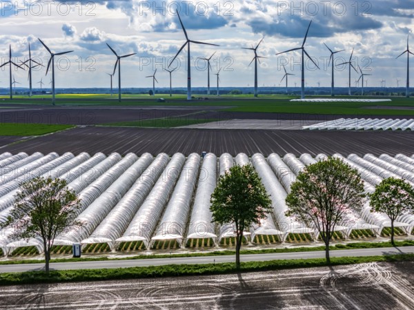 Agriculture, large areas with foil tunnel, for the cultivation of strawberries, freshly cultivated fields, wind farm, south of Lövenich, belongs to Erkelenz, in the district of Heinsberg