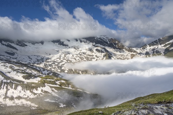 Two sheep on a mountain meadow in front of a mountain landscape, high fog in the valley, behind mountain peak Dosso Largo and glacier Schlegeiskees, Berliner Höhenweg, Zillertal Alps, Tyrol, Austria, Europe