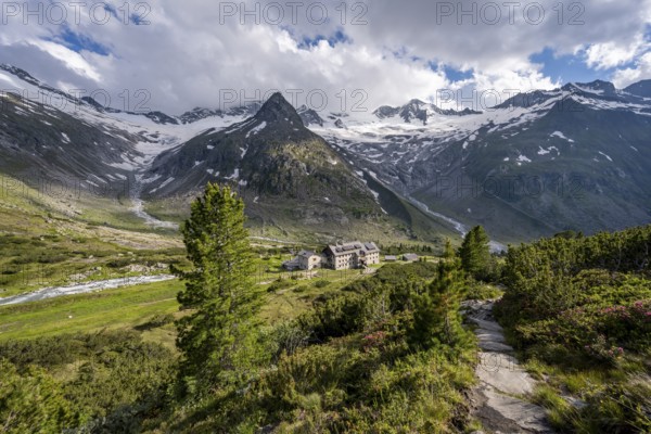 Mountain landscape with hiking trail and alpine roses, mountain hut Berliner Hütte, mountain peak Steinmandl, glacier Waxeggkees, Berliner Höhenweg, Zillertal Alps, Zillertal, Tyrol, Austria, Europe