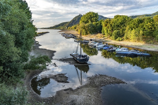 The Rhine at extremely low water, near Bad Honnef Rhöndorf, below the Drachenfels, the historic Rhine ship, Aalschokker Aranka, in the Old Rhine arm, on the island of Grafenwerth, dry banks of the Rhine, North Rhine-Westphalia, Germany, Europe