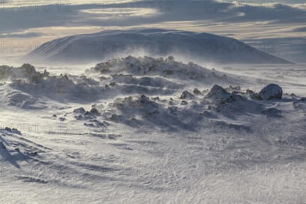 Solidified lava and stones in a snowstorm, windy, sunny, backlight, Myvatn, Iceland, Europe
