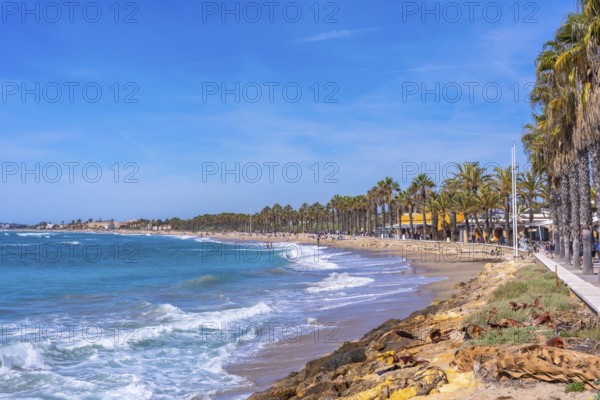 Scenic view of the cami de ronda coastal path with palm trees, beach, and turquoise mediterranean sea near comarruga, tarragona, spain