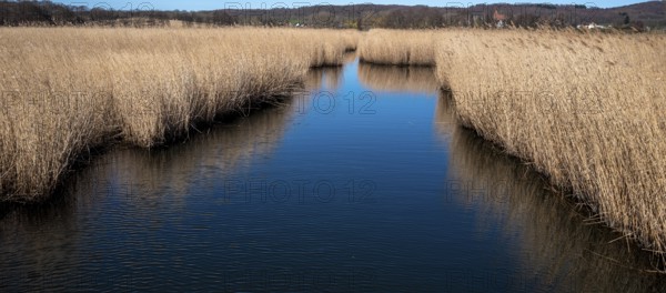 Landscape at Lake Neuensien on the island of Rügen, Mecklenburg-Western Pomerania, Germany, Europe