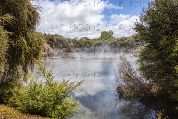 Geothermal, Park, Rotorua, New Zealand, Oceania
