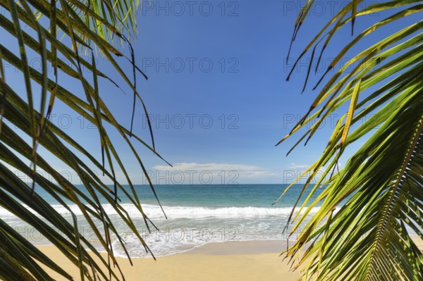 Playa Uva, Puerto Viejo, Limon, Caribbean, Costa Rica, Central America