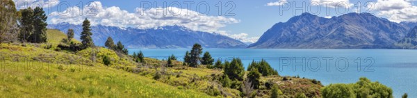 Lake Hawea, Otago, New Zealand, Oceania