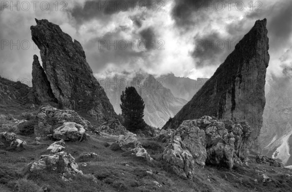 Malga-Alm below the Geisler peaks, Puez-Odle nature Park, Seceda, Val Gardena, Trentino, South Tyrol, Italy, Europe