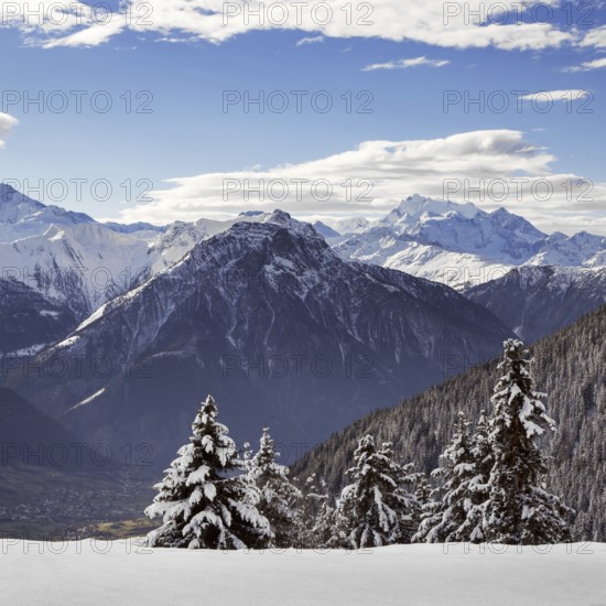 Snow covered spruce trees and Alpine mountains in winter in the Swiss Alps at Wallis, Valais, Switzerland, Europe