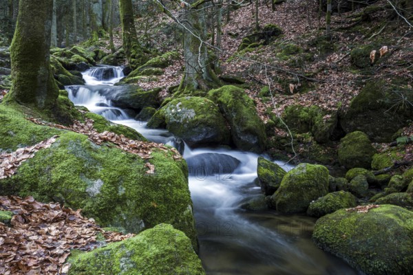 Gertelbach, Gertelbach Waterfalls, Gertelbach Falls, Gertelbach Gorge, Bühl, Bühlertal, Northern Black Forest, Black Forest, Baden-Württemberg, Germany, Europe