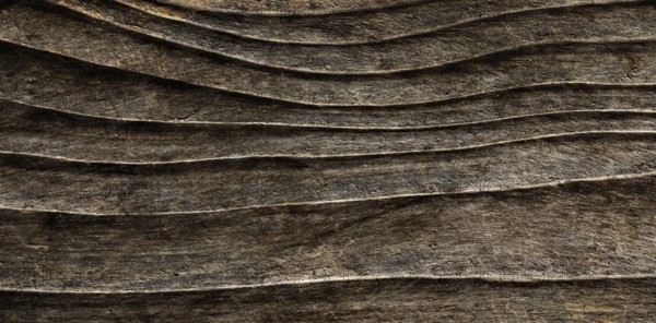 Structure on an old weathered wooden board, Abstract background, Graphic elements, Texture background, AustriaUpper Austria, Austria, Europe