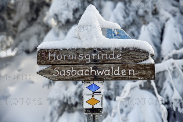 Snowy signpost near the Hornisgrinde, near Sasbach, Ortenaukreis, Black Forest, Baden-Württemberg, Germany, Europe