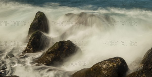 Surf, lava rocks, west coast, Adeje, Tenerife, Canary Islands, Spain, Europe