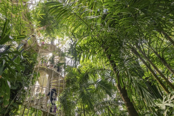 Tropical rainforest, cast-iron spiral staircase, Palm House, oldest Victorian greenhouse in the world, Royal Botanic Gardens, Kew, London, England, Great Britain
